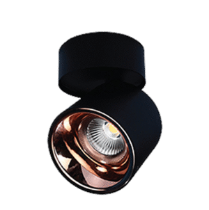 CORVUS OUTDOOR light 2